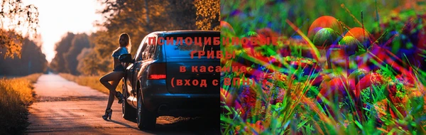 MDMA Лабытнанги