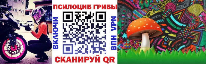 цена Тайшет Галлюциногенные грибы MAGIC MUSHROOMS