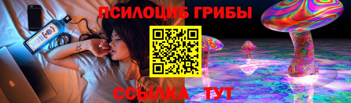 Галлюциногенные грибы прущие грибы  Вход с VPN  Галлюциногенные грибы GOLDEN TEACHER  Тайшет 