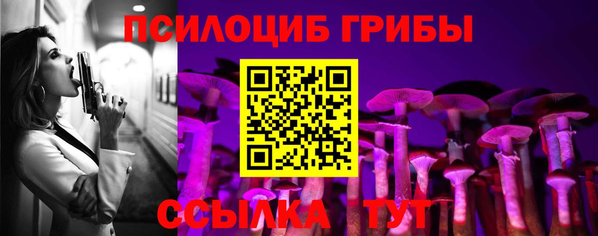 Псилоцибиновые грибы ЛСД Тайшет